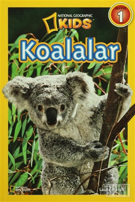 Koalalar Seviye 1